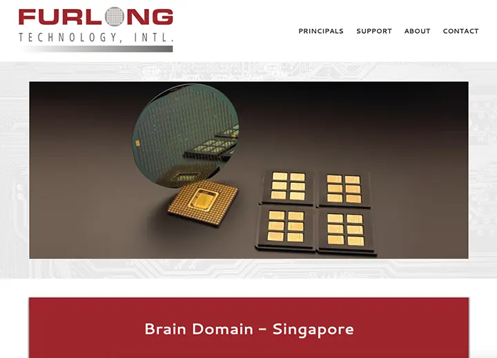 Partner page with semiconductor chips